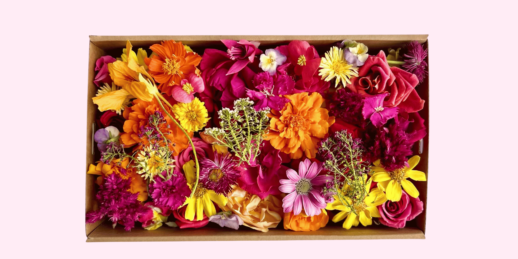 Bloomish Freeze Dried Edible Flowers | Dried Flowers for Cake Flowers