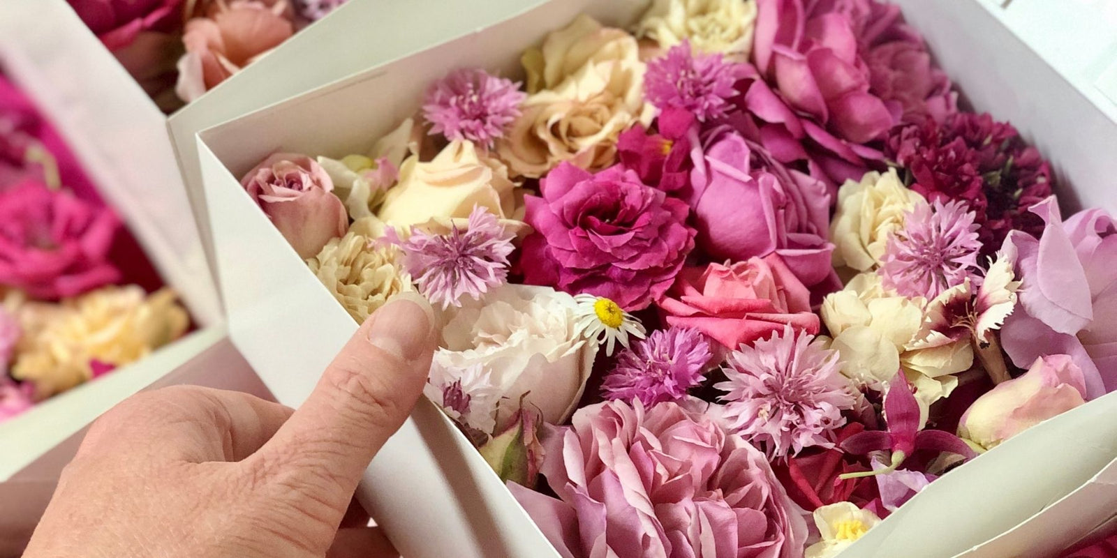 Bloomish freeze dried edible flowers.