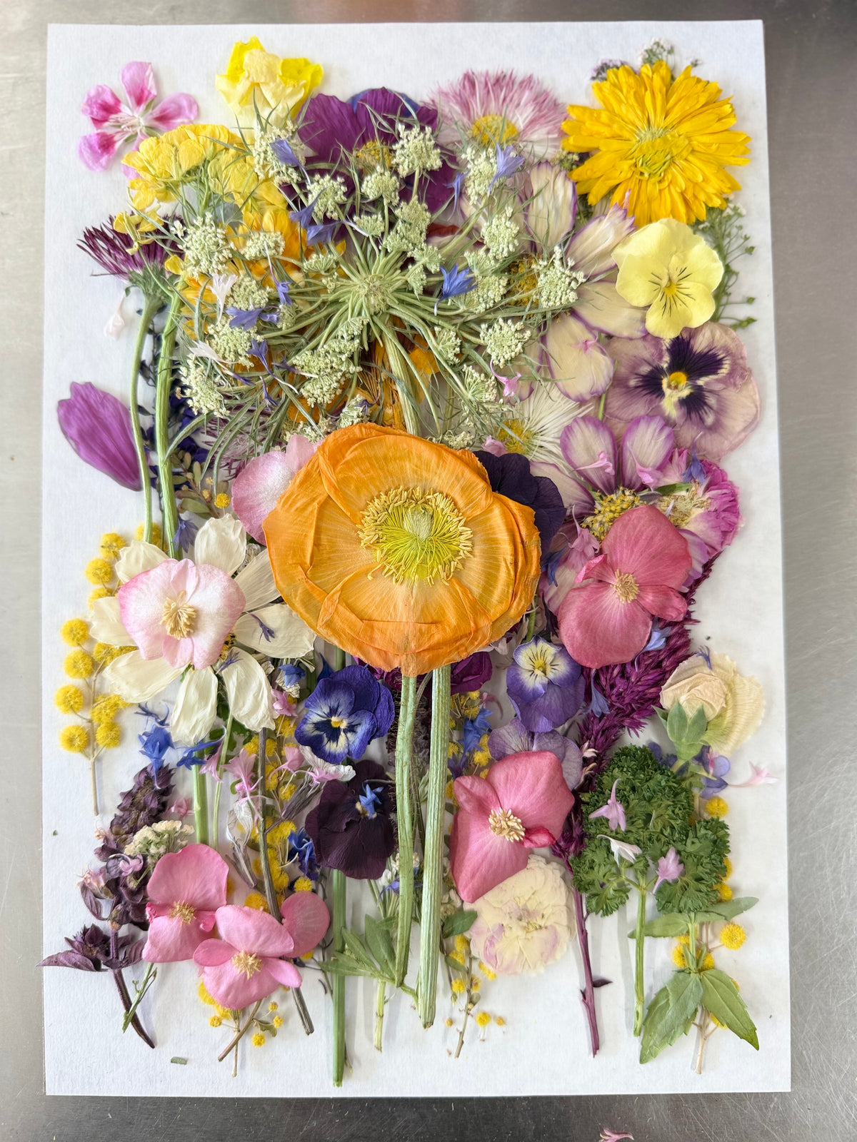 PRESSED FLOWERS - Freeze Dried, Organically Grown & Edible