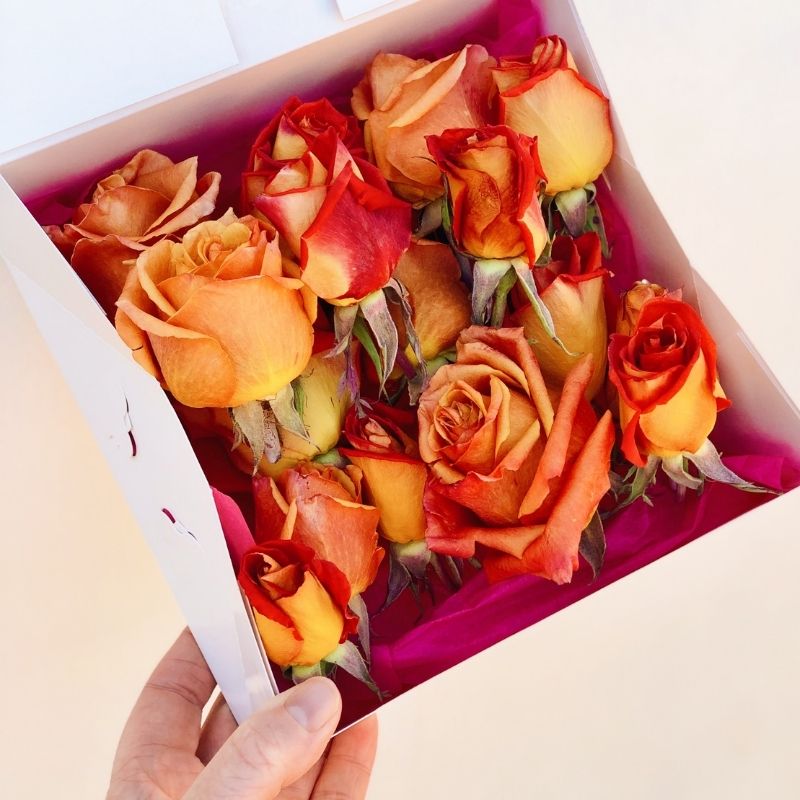 Bloomish Box: Monthly & Season Delivery of Freeze Dried Edible Flowers ...