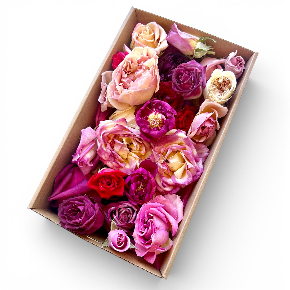 Box of 25 Freeze Dried Edible Rose Blooms