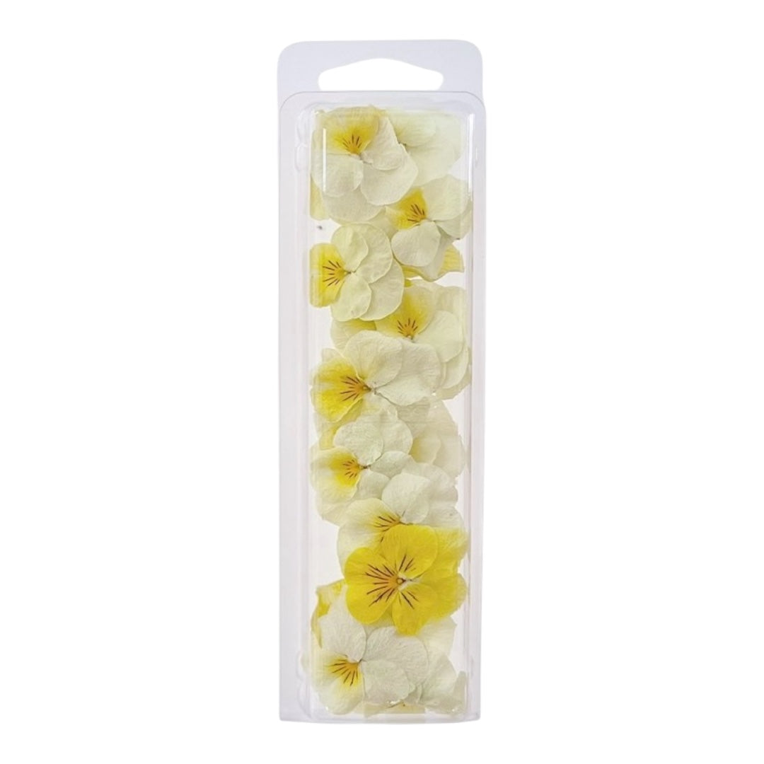 Lemon Yellow Freeze Dried Edible Violas