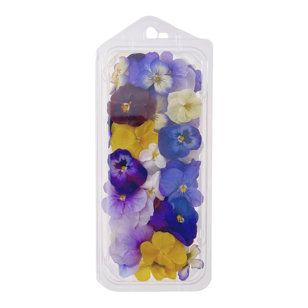 Multicolour Violas - Freeze Dried Edible Viola Flowers by Bloomish
