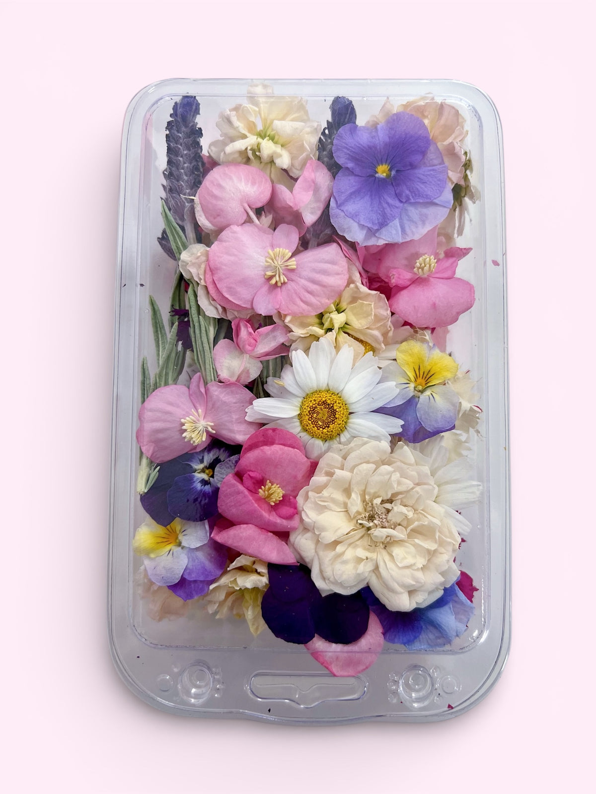 Limited Edition - New Year Essential Edible Flowers