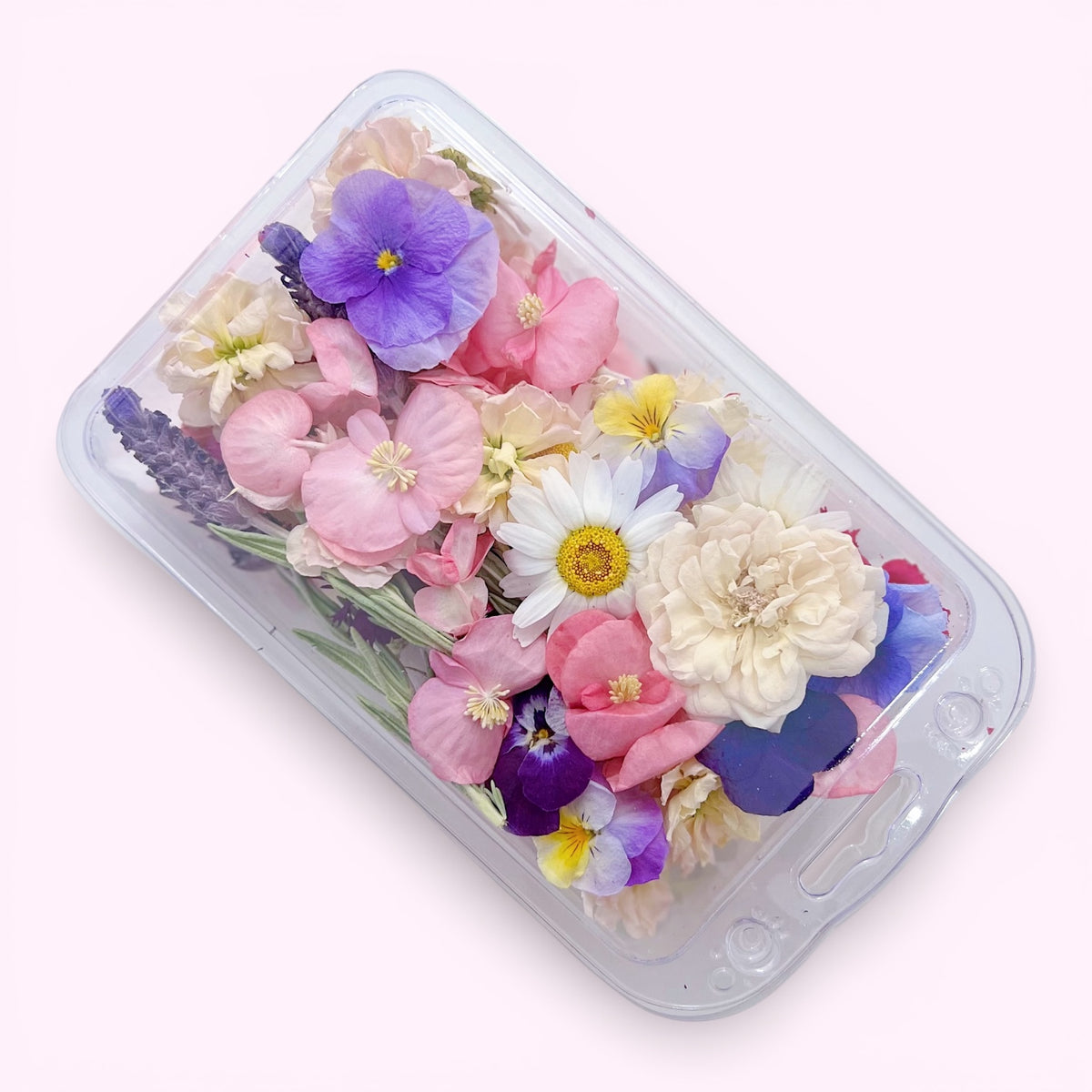 Limited Edition - New Year Essential Edible Flowers