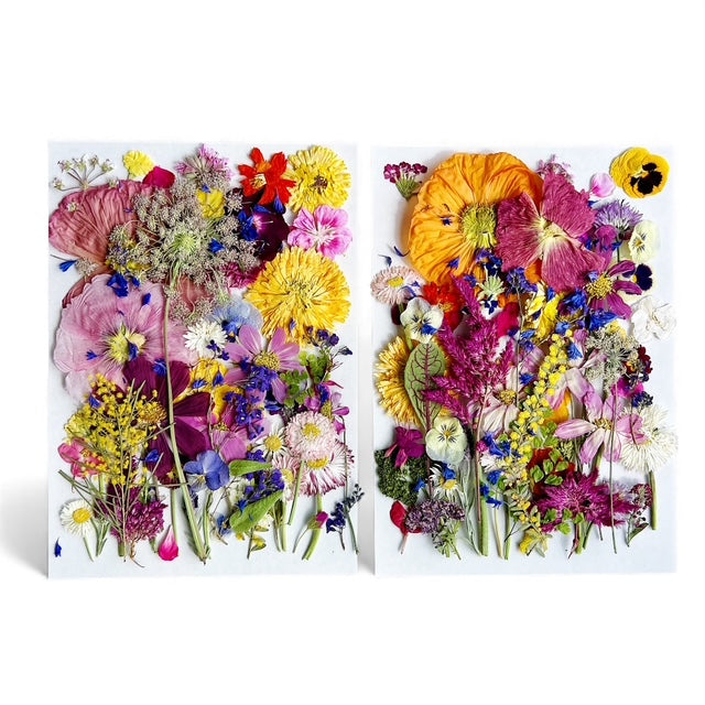 PRESSED FLOWERS - Freeze Dried, Organically Grown & Edible
