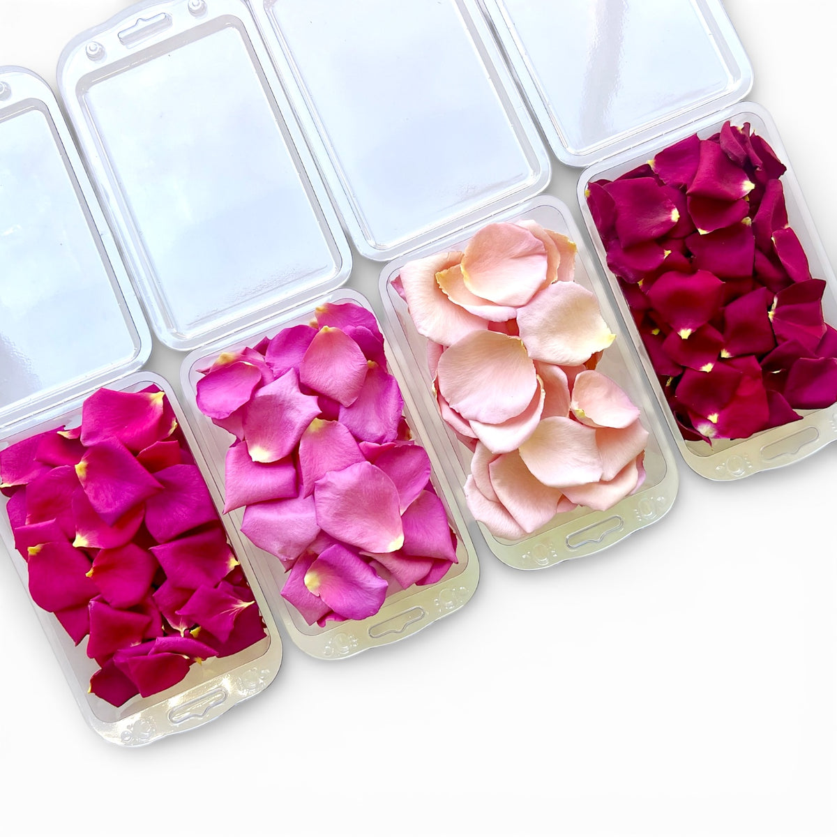 Freeze Dried Edible Rose Petals for Valentine's Day