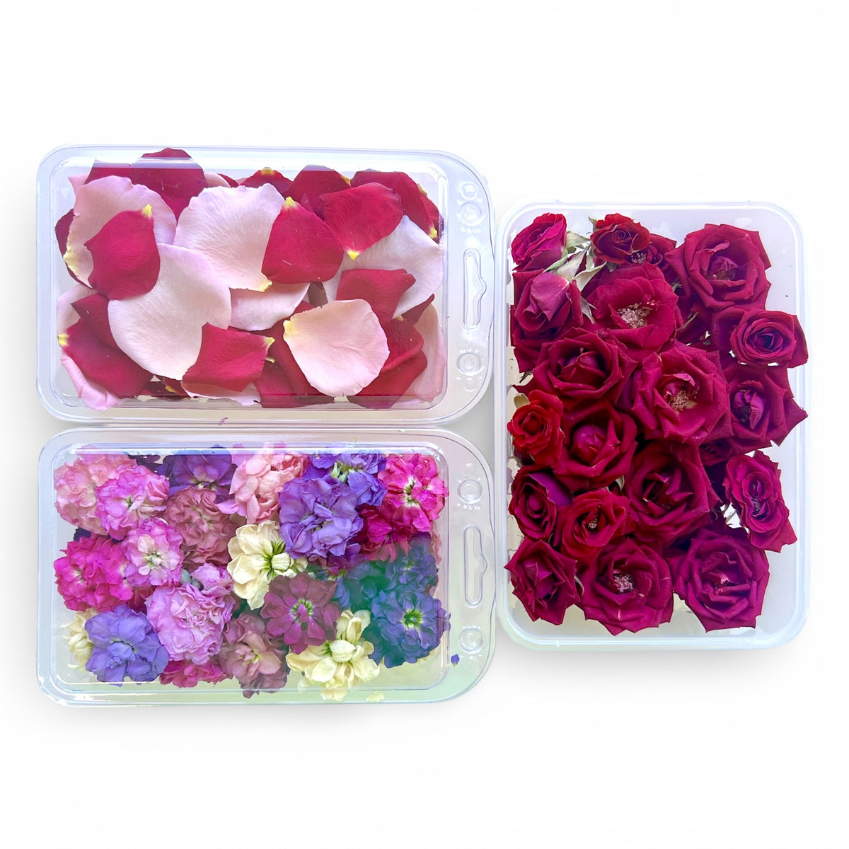 Valentine's Day 2026 Essential Freeze Dried Edible Flowers