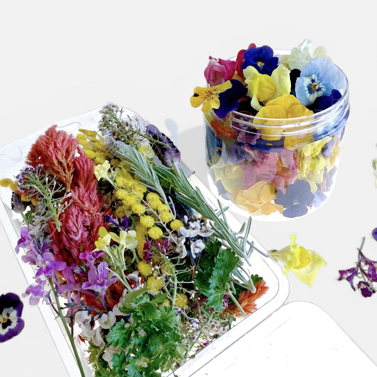 Set of 2 packets of colourful freeze dried edible flowers.