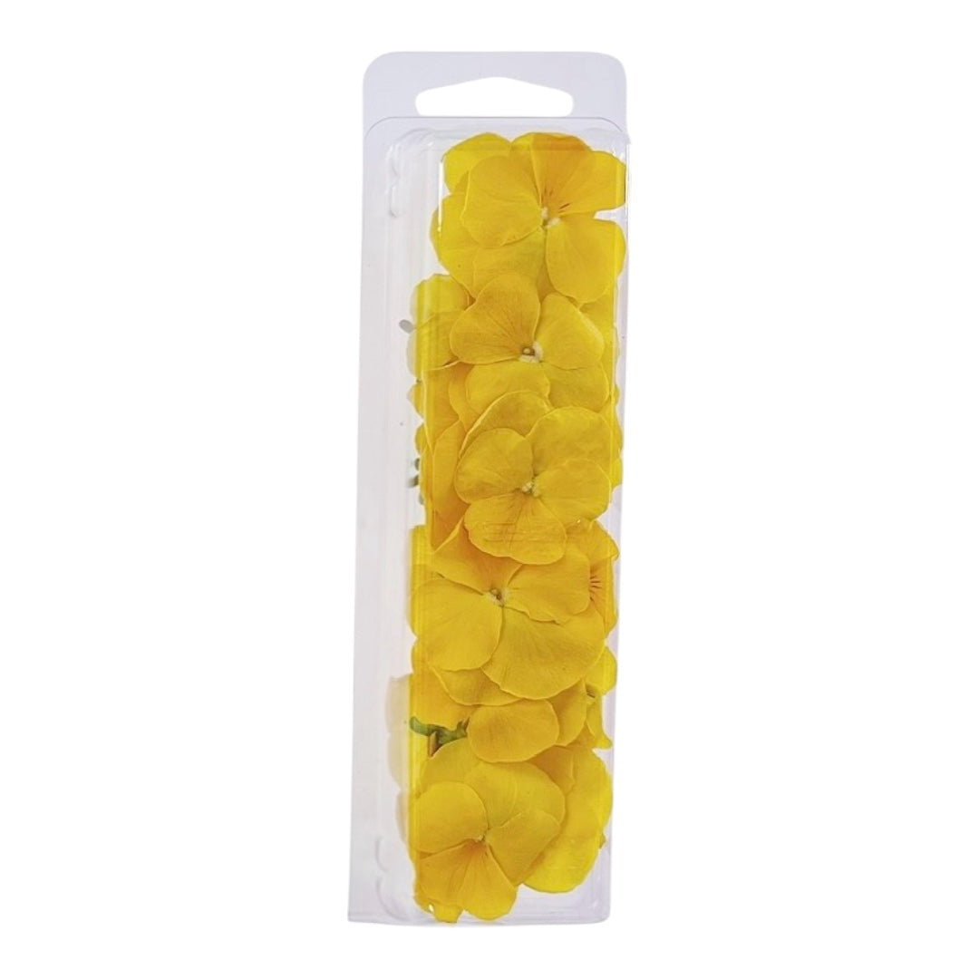 Yellow Freeze Dried Edible Violas