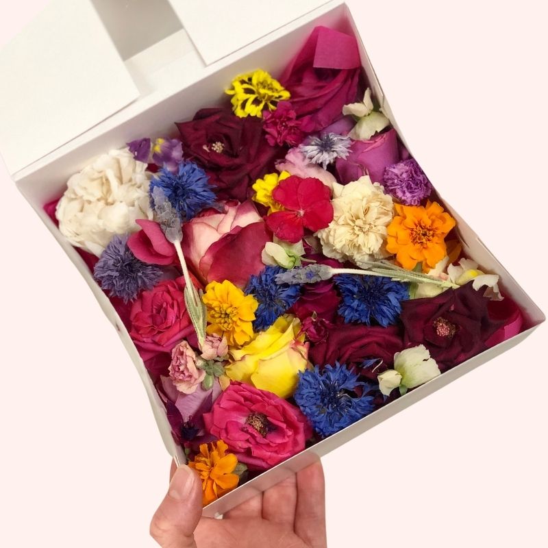 World-First Freeze Dried Edible Flowers - Organic Edible Dried Flowers -  Simply Rose Petals