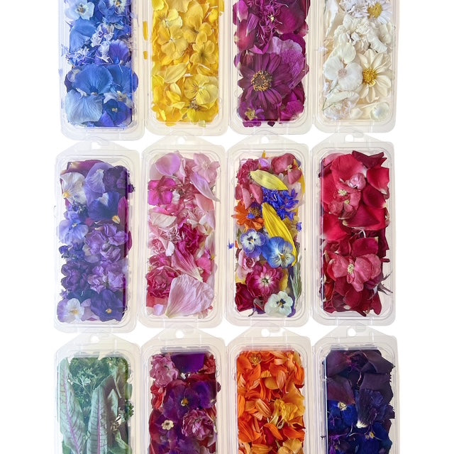 Full Set of 12 Flowerfetti in 250ml Packs