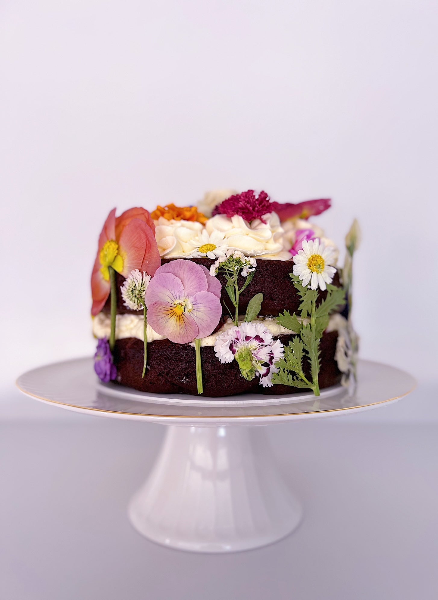 Freeze Dried Pressed Flowers Organically Grown and Edible Flowers