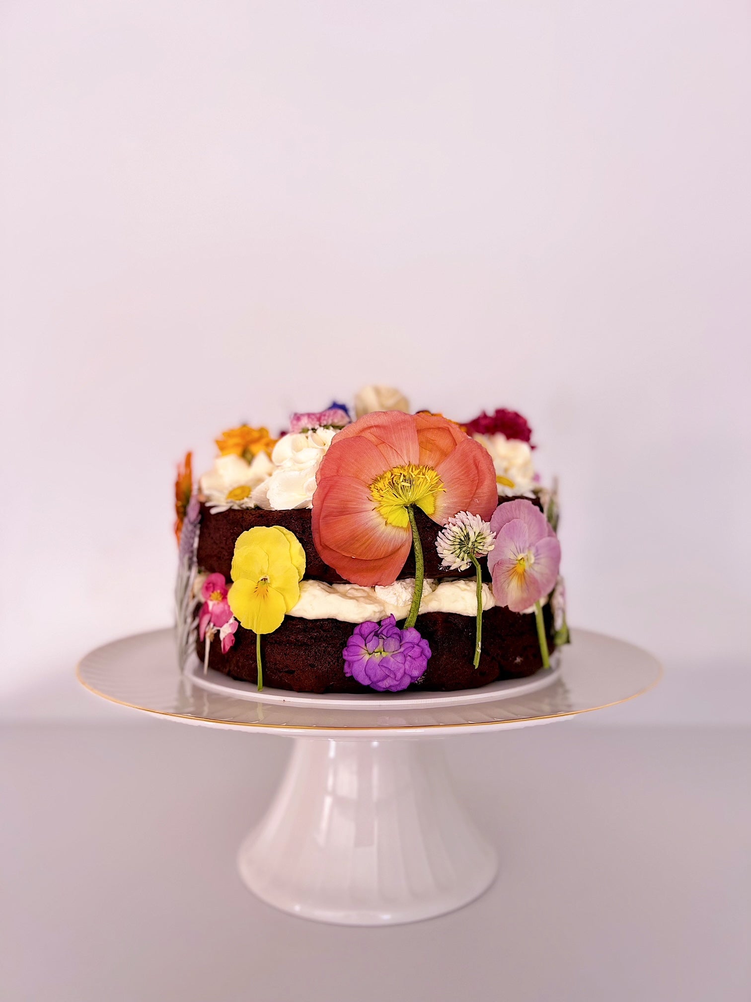 Freeze Dried Pressed Flowers Organically Grown and Edible Flowers