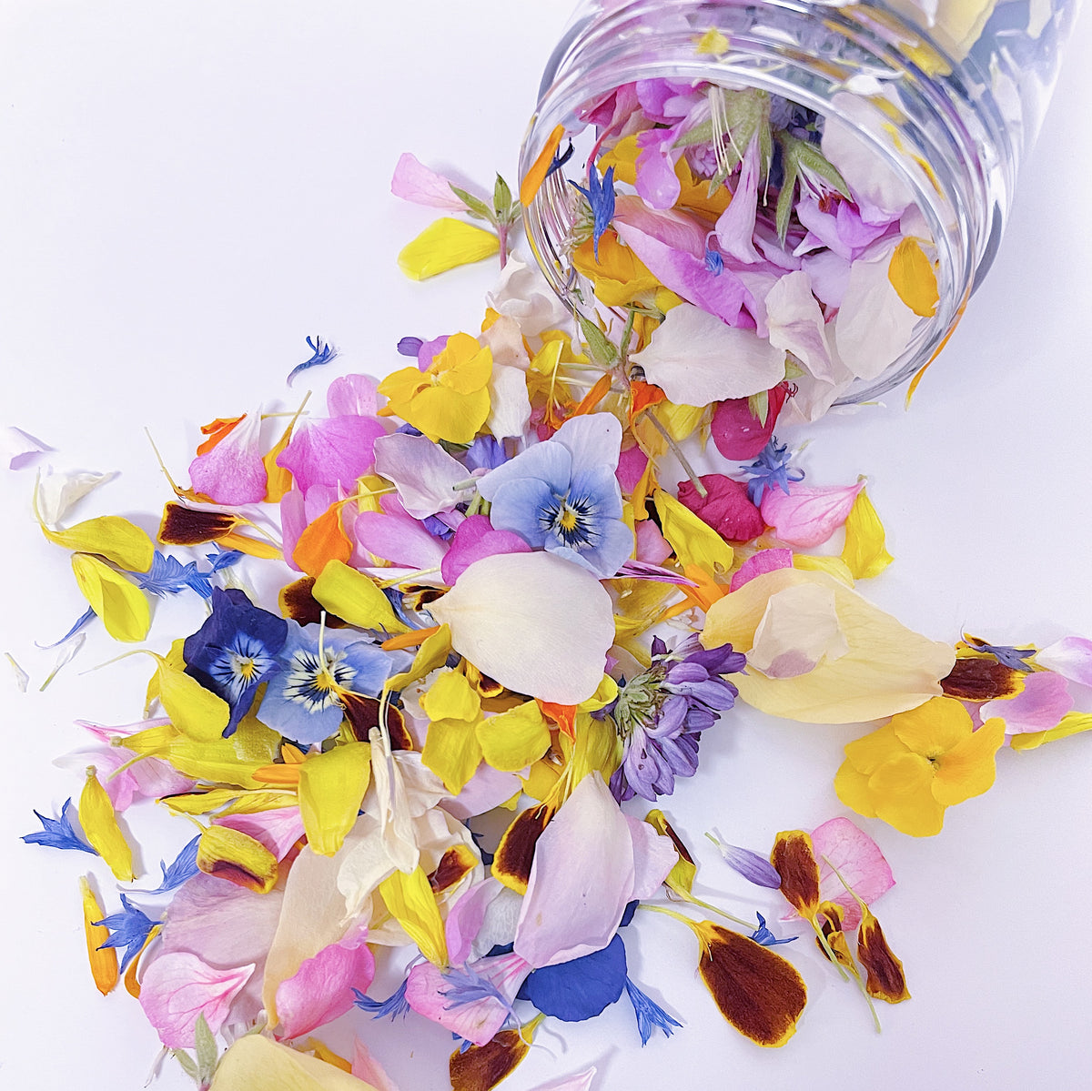 RAINBOW FLOWERFETTI® - Freeze Dried Edible Flower Confetti