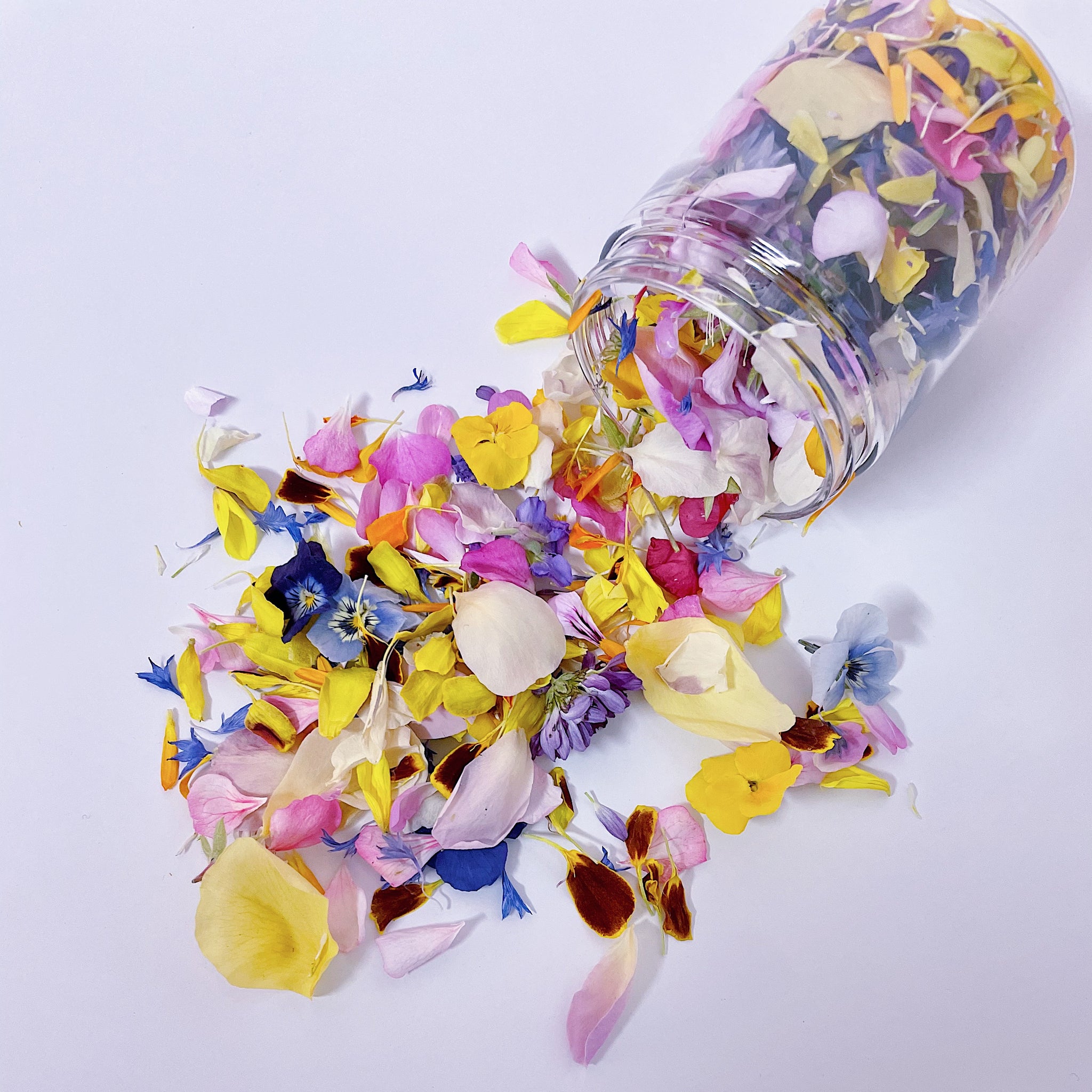 Rainbow Flowerfetti® - Freeze Dried Edible Flower Confetti by Bloomish -  Bloomish by Simply Rose Petals