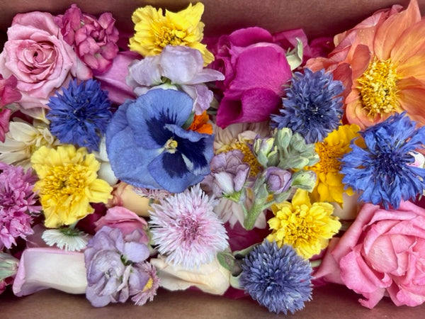 Limited Edition Bloomish Box® - Mother's Day - Bloomish by Simply Rose ...
