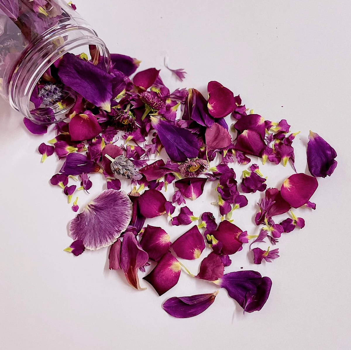 BURGUNDY BLOOM FLOWERFETTI® - Freeze Dried Edible Flower Confetti