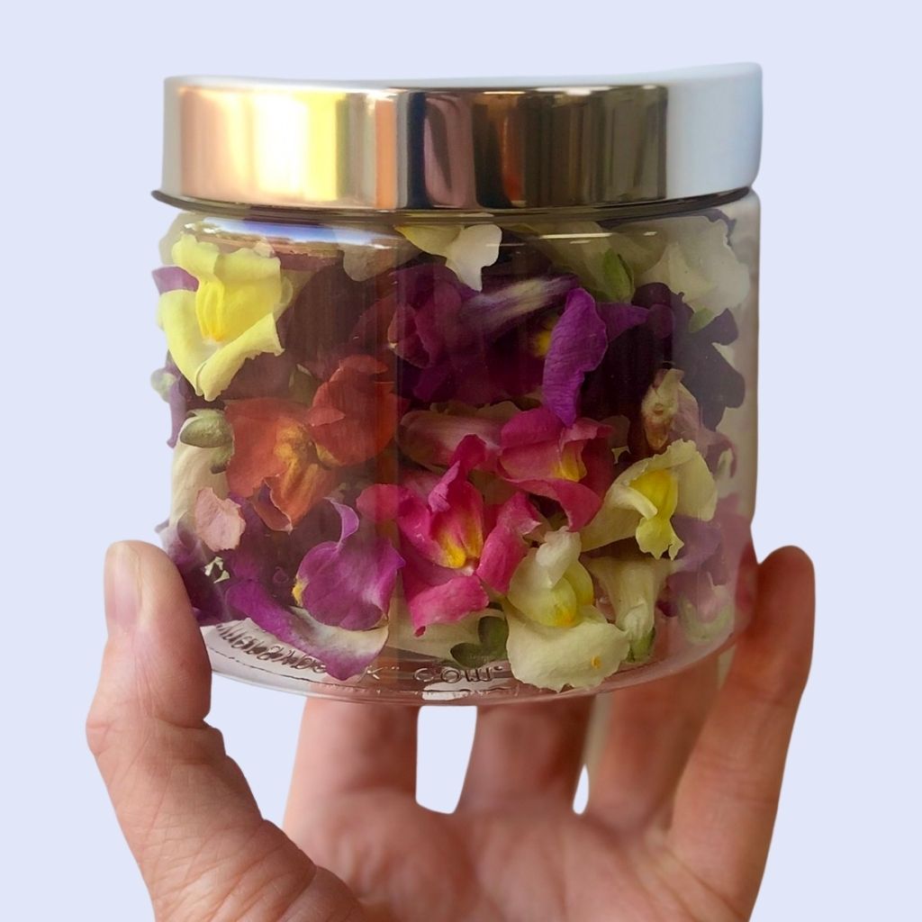 Jar of freeze dried edible snapdragons from Bloomish.