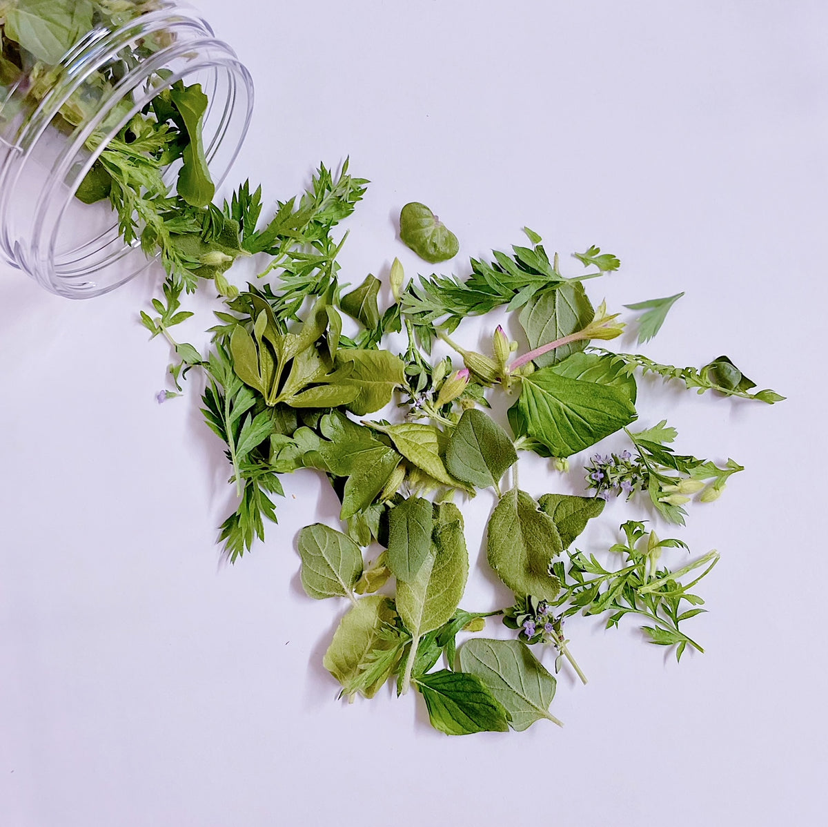 GREEN GODDESS FLOWERFETTI® - Freeze Dried Edible Flower Confetti