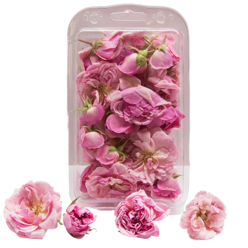 Pink Miniature Rose Buds Freeze Dried Edible Flowers.