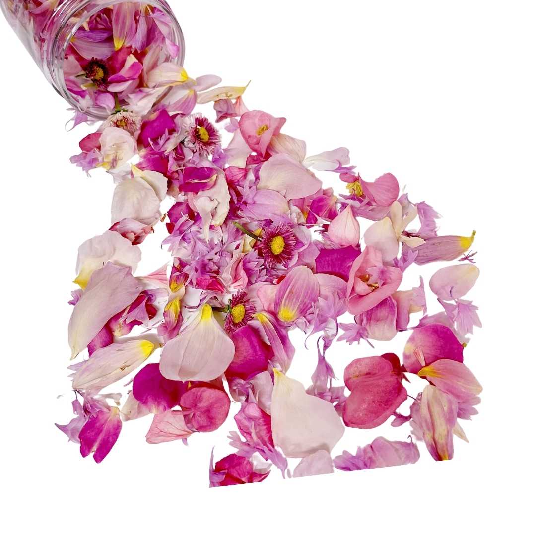 Pink edible freeze dried flower confetti by Bloomish.