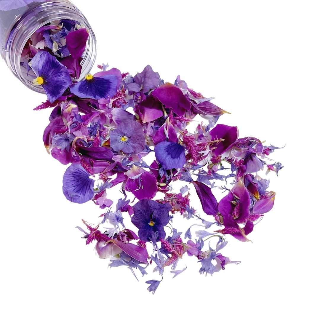 Purple Passion edible flower confetti by Bloomish.