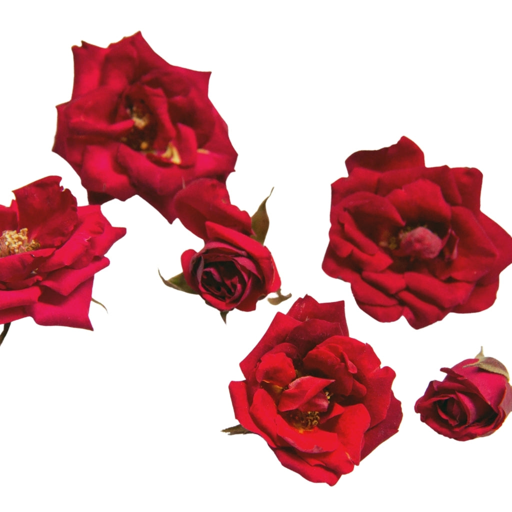 Red Miniature Edible Roses - Freeze Dried Edible Roses and Flowers ...