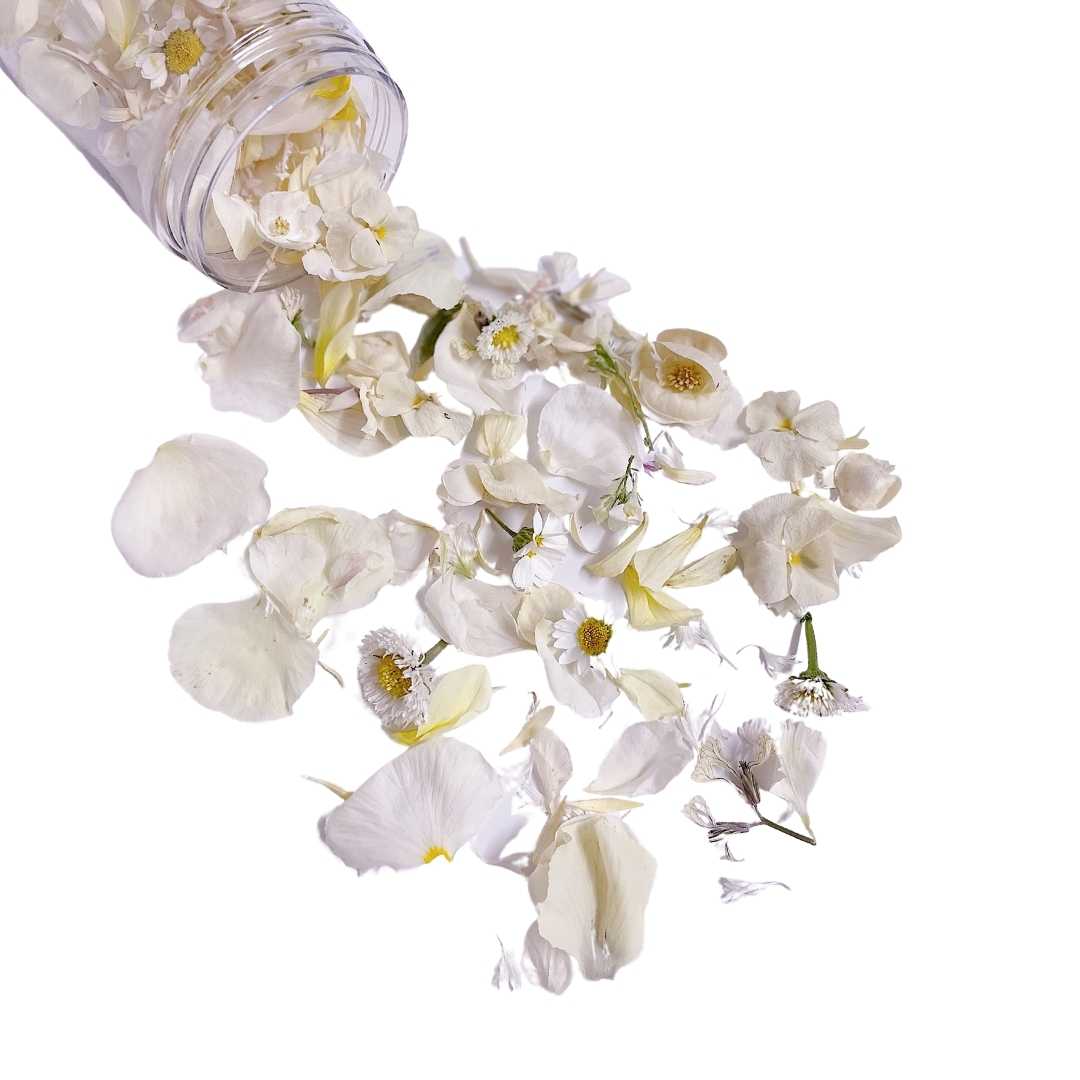 White edible flower confetti petals.