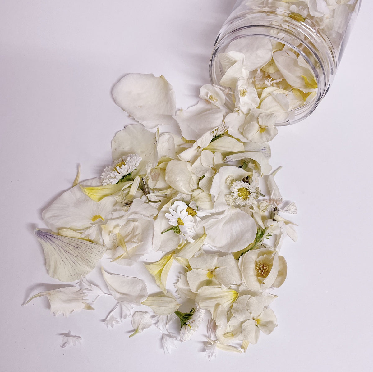 WHITE WEDDING FLOWERFETTI® - Freeze Dried Edible Flower Confetti