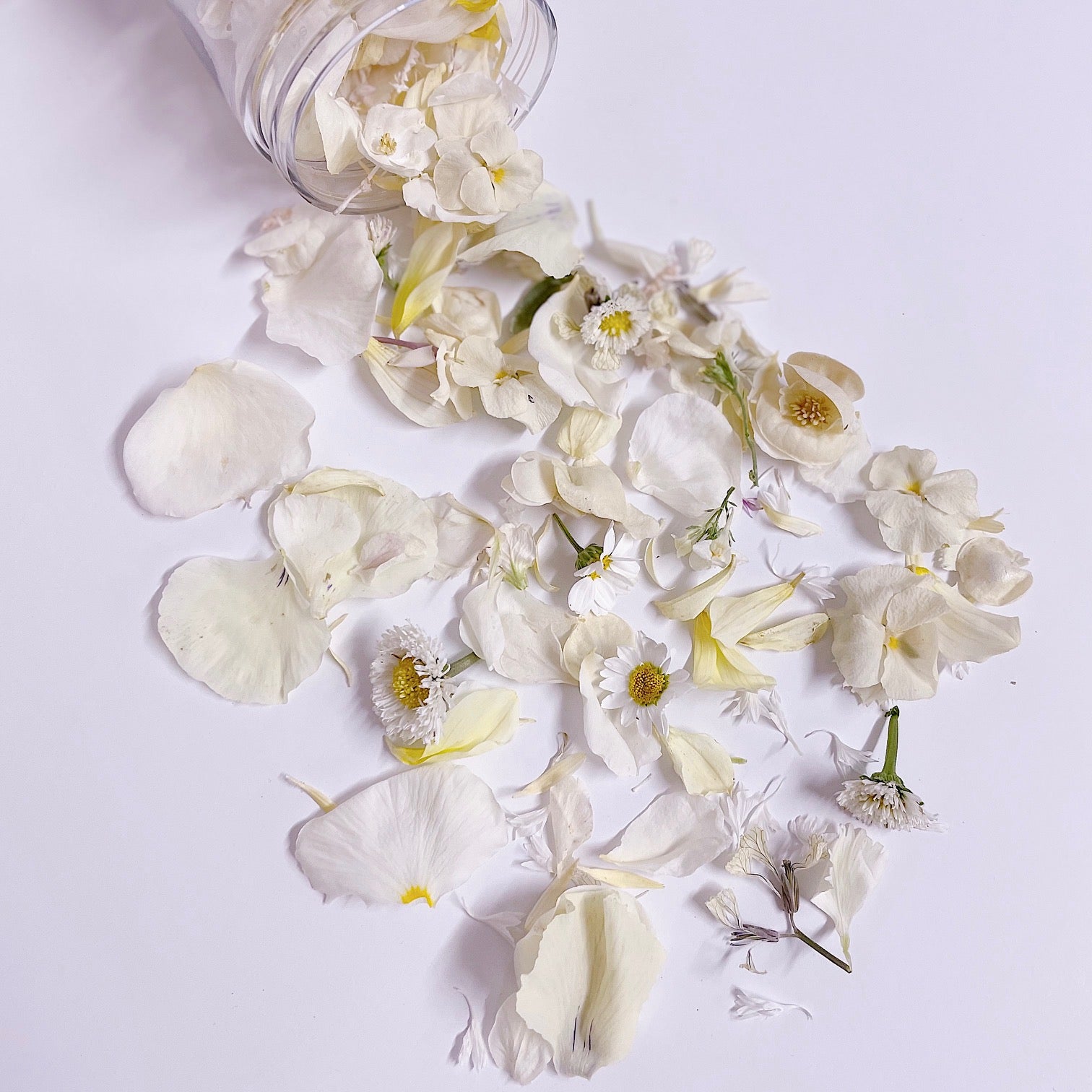 White Wedding Flowerfetti®- Dried Edible Flower Confetti by Bloomish -  Bloomish by Simply Rose Petals