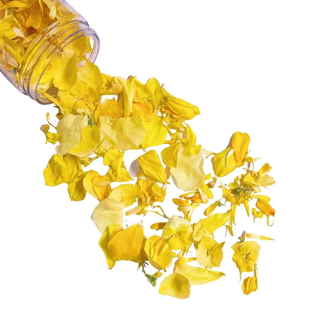 Sunshine yellow edible flower confetti grown organically by Bloomish.