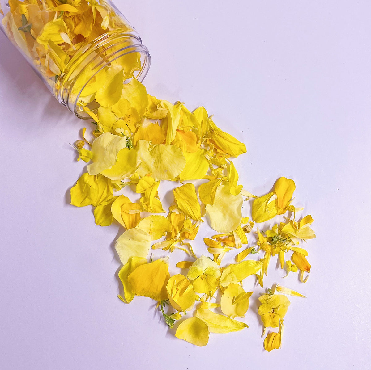 YELLOW SUNSHINE FLOWERFETTI® - Freeze Dried Edible Flower Confetti